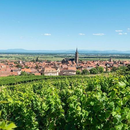 Vila La Grange A Emile Dambach Exteriér fotografie