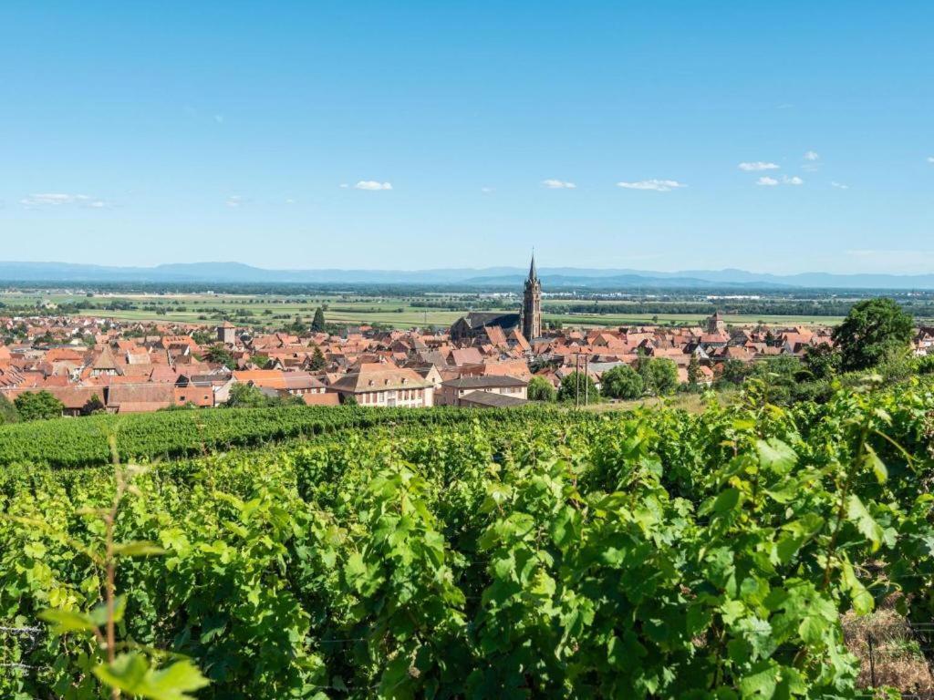 Vila La Grange A Emile Dambach Exteriér fotografie